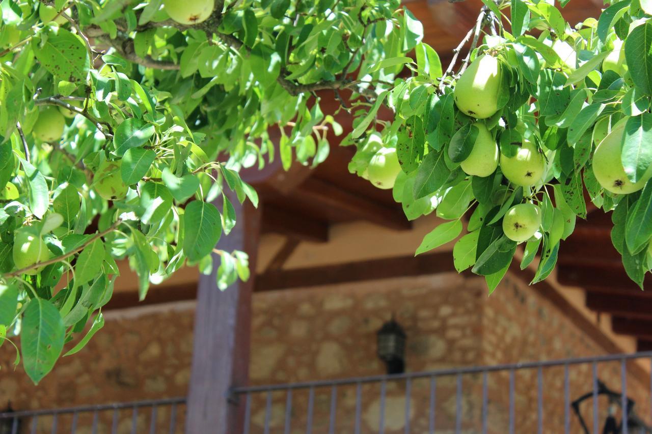 Complejo Rural La Coronilla Guest House คารันดียา เดลา เบรา ภายนอก รูปภาพ
